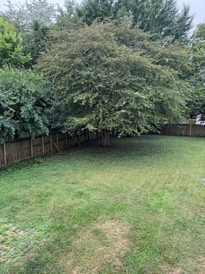 4 bed, 2000 sqft, $2,850 — Photo 3
