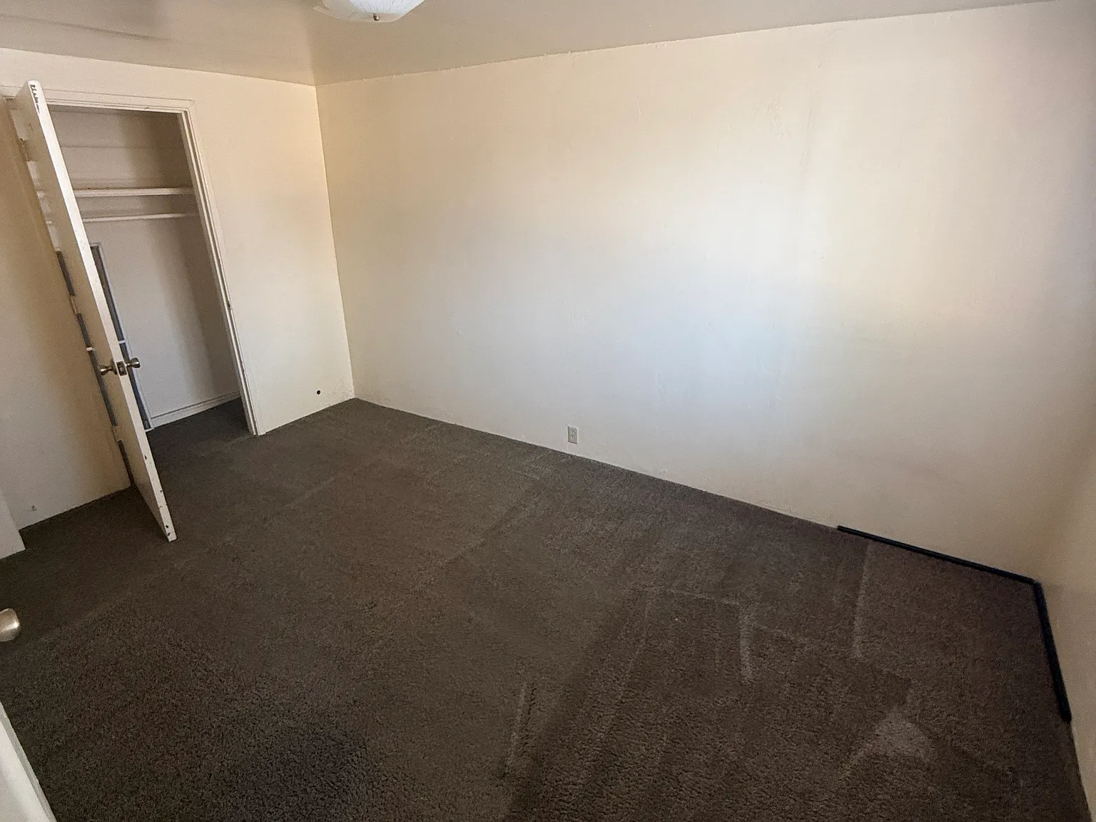 2 bed, $1,195 — Photo 4
