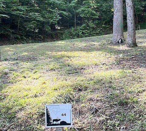 4th image of 1153 Elkhorn Ridge Dr