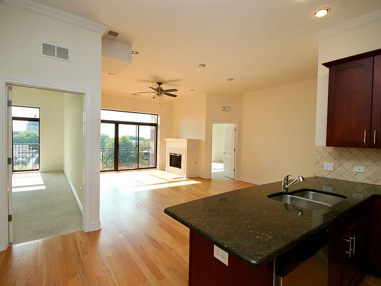 4651 N Greenview #409 — Photo 9