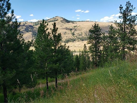 2nd image of 1111 Stehekin Way