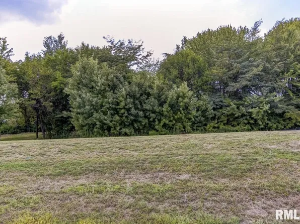 401 Ramblewood Dr, Chatham, IL 62629