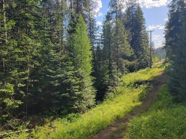 Nna Gleason McAbee Falls Rd, Priest River, ID 83856