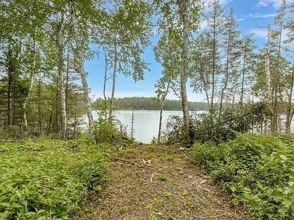 3rd image of XXX Norsk Ln LOT 13