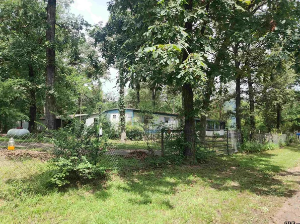 13416 Lily Rd, Ore City, TX 75683