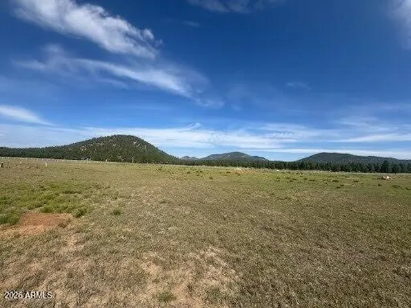 Lot 36 N Spring Valley Road #-, Parks, AZ 86018