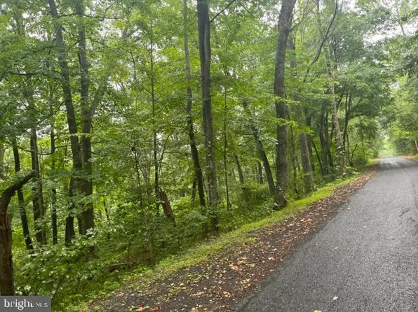 Mulberry Ln, Basye, VA 22810