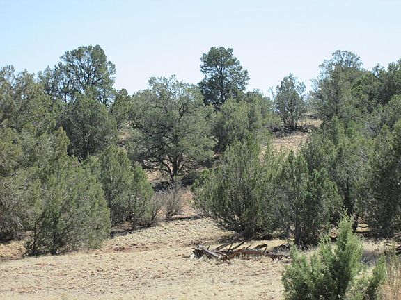 5th image of 33776 W La Garra Ln