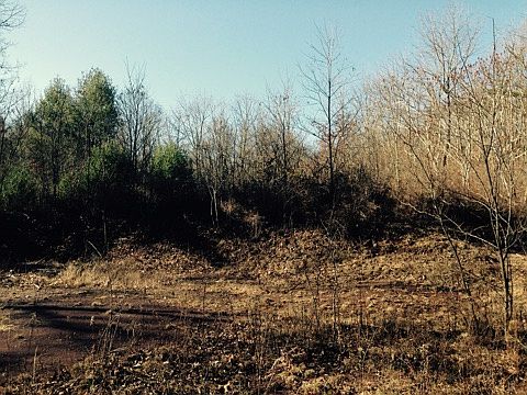 1st image of Lot 28 And 29 Stonehouse Woods