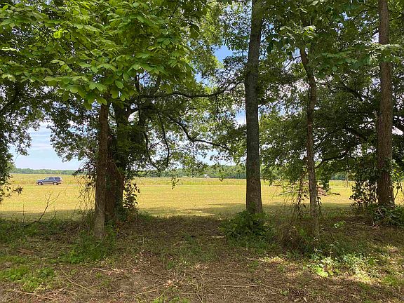 5th image of 46 Leatherwood Ln Lot 46