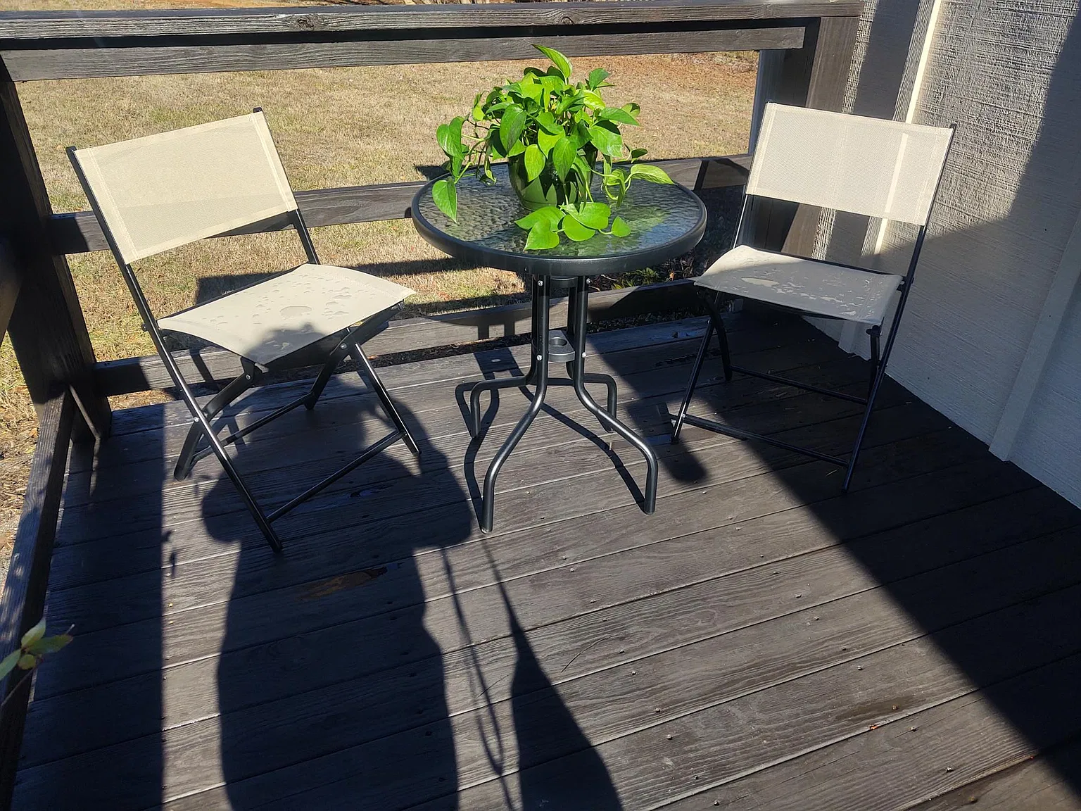 2 bed, 1088 sqft, $1,800 — Photo 4