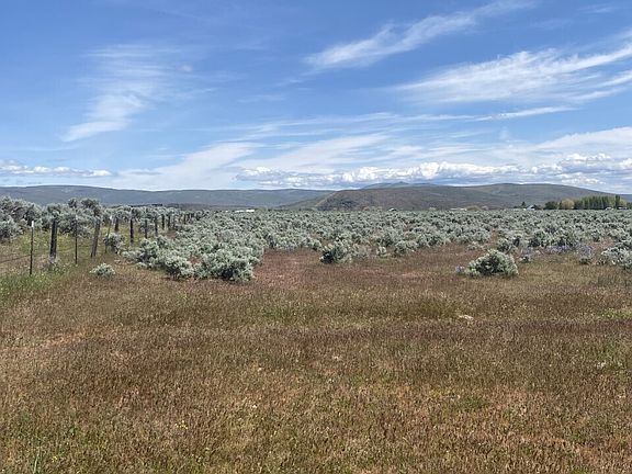 2nd image of 5 A Lester Road