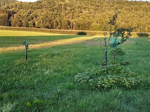 5th image of 0 Reservoir Hill Rd