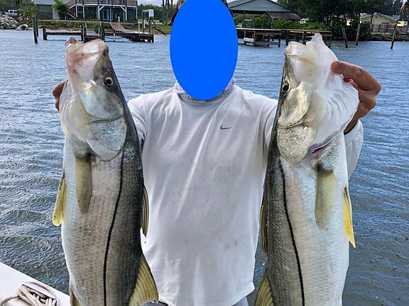 3rd image of 6295 Us 1
