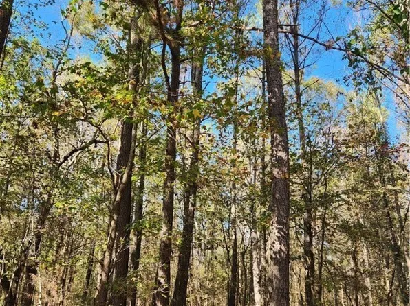 0 Owensby Mill Road, Arnoldsville, GA 30619