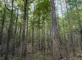 40/ACRE S Highway 35, Mount Olive, MS 39119