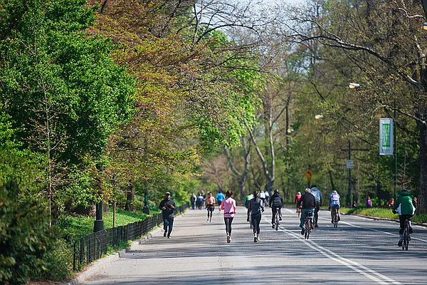 Rented by Compass | media 25