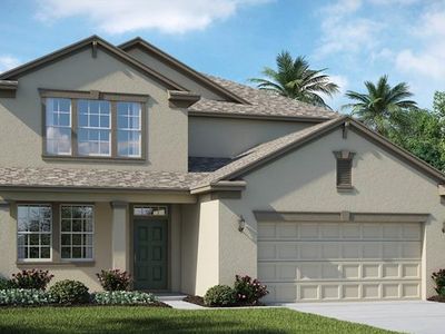 11012 Purple Martin Blvd, Riverview, FL, 33579