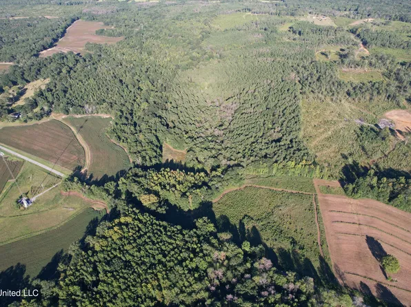 212 Old Highway 51 Rd, Pickens, MS 39146