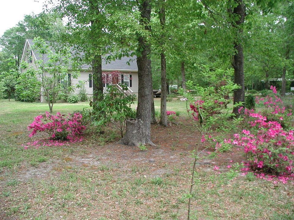 Spring Azalea's 