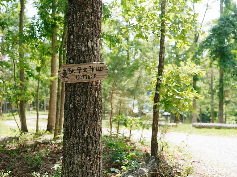 Neighborhood