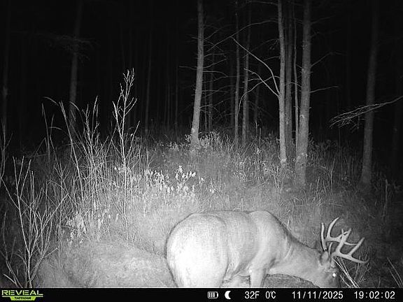 4th image of Bogus Rd