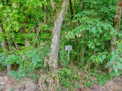 4485 Huffine Rd, Loudon, TN, 37774