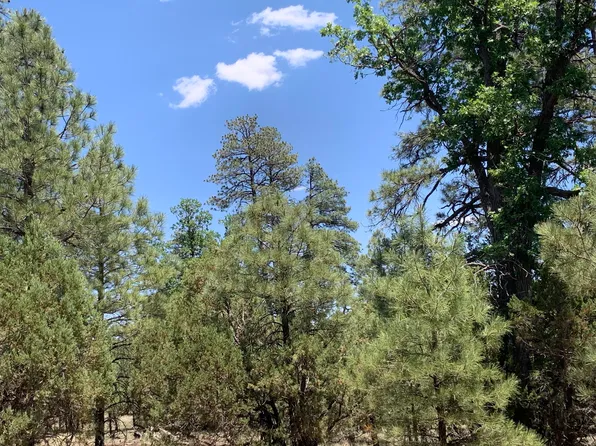 1789 Green Top Dr, Happy Jack, AZ 86024