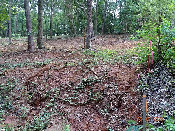 4th image of 140 Blue Springs Dr Lot B
