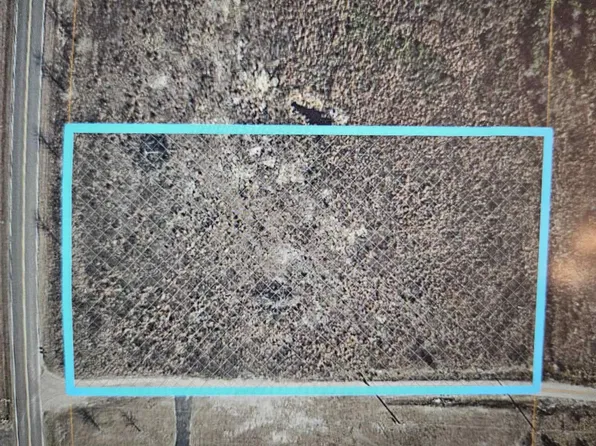 TBD Cane Branch Rd., Loris, SC 29569