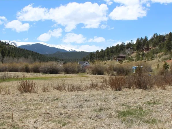 227 Moore Street, Bailey, CO 80421