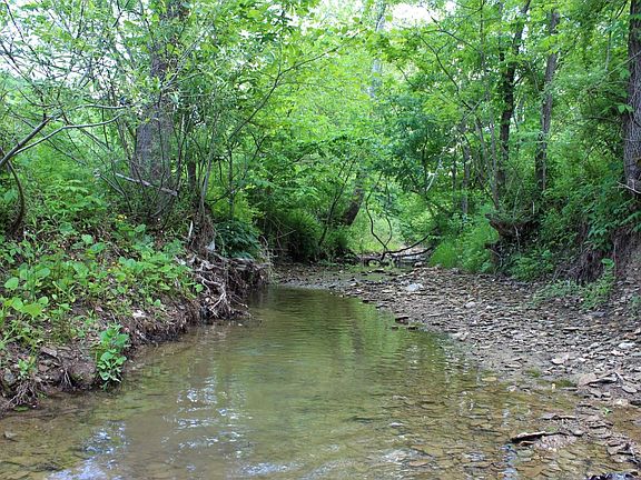 The main stream leading through the center of the property