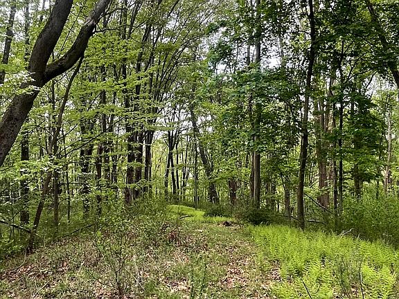 5th image of Sand Hill Rd