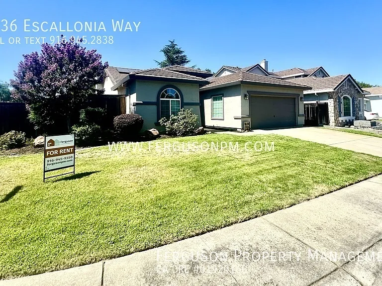 6636 Escallonia Way — Photo 1