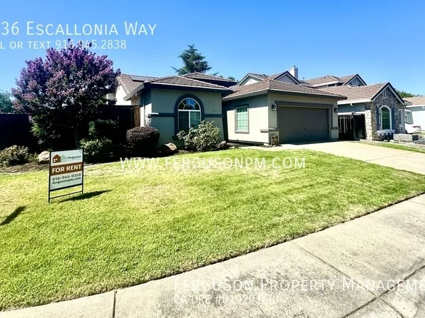 6636 Escallonia Way, Rocklin, CA 95765