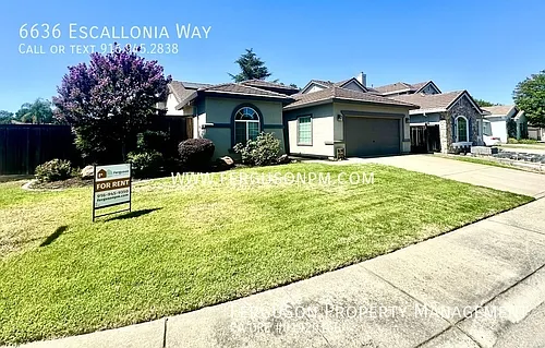 6636 Escallonia Way Photo 1