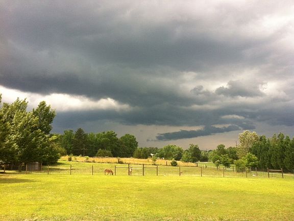 View of pastures from porch