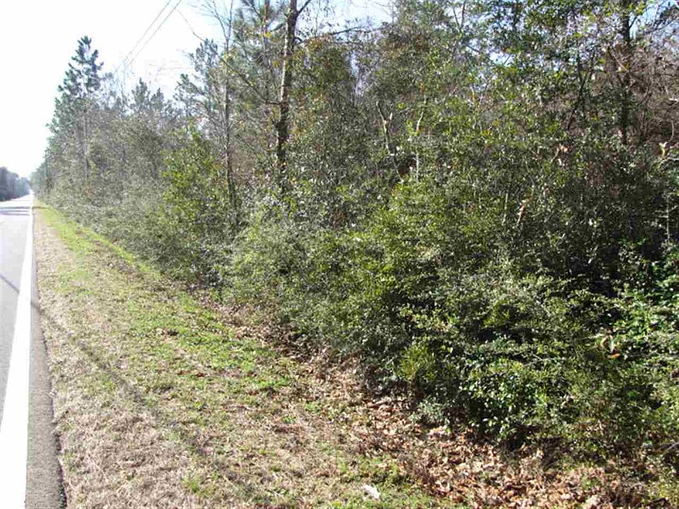 2nd image of Pine Blossom Rd