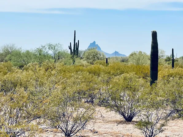 E Vista Grande Ln, Marana, AZ 85658