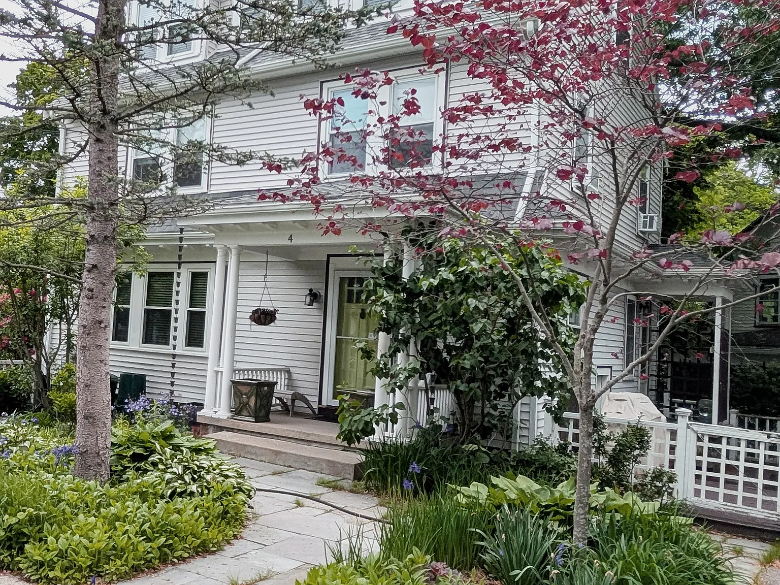 Hawthorne Rd, Milton — Photo 2