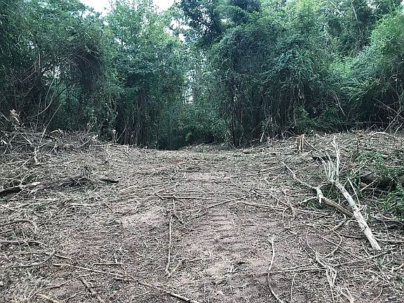 4th image of Deer Run Ln