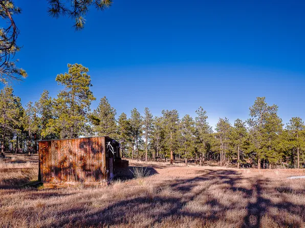 County Road 31.9, Weston, CO 81091