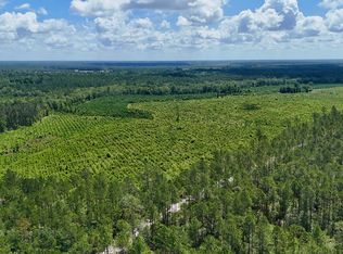 TRACT 2 Bennett Mill Pond Rd, Odum, GA 31555