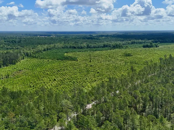 TRACT 2 Bennett Mill Pond Rd, Odum, GA 31555