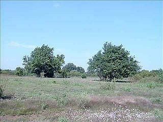 2nd image of 115 Mays Rd