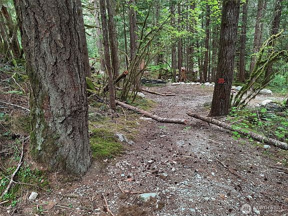 2nd image of 0 Cascade River Road