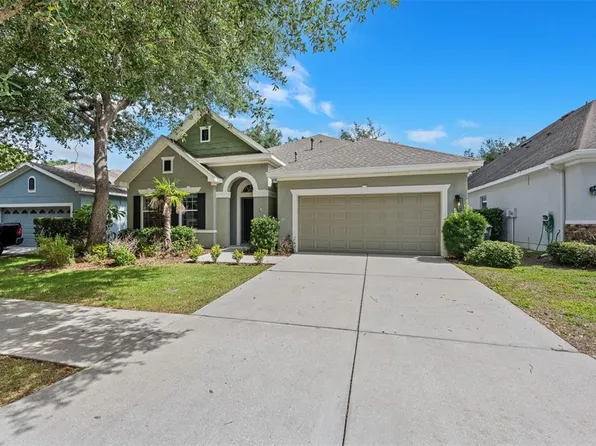 15814 Starling Water Dr, Lithia, FL 33547