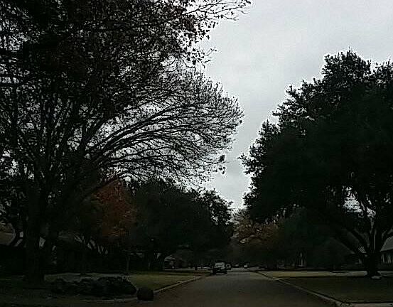 5th image of 4215 Irvin Simmons Dr