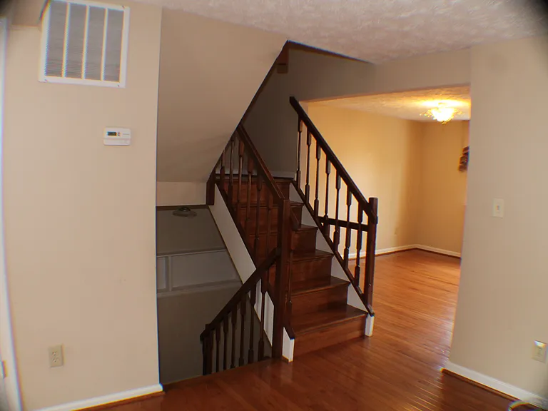 8008 Tyson Oaks Cir — Photo 14