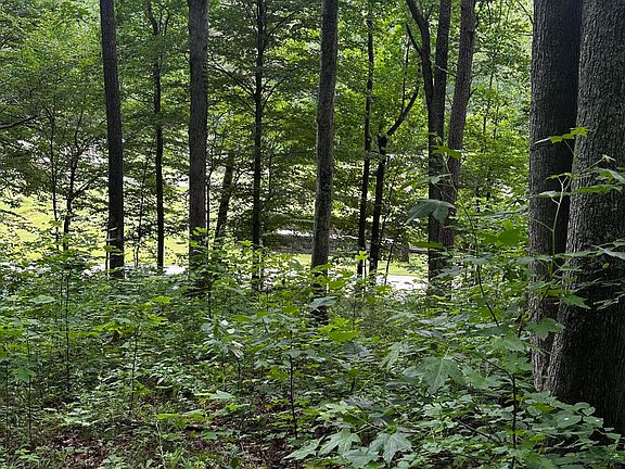 3rd image of 2041 Cat Creek Rd